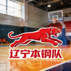 辽宁本钢队Logo，红色飞豹图案