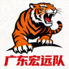 广东宏远队Logo，华南虎图案